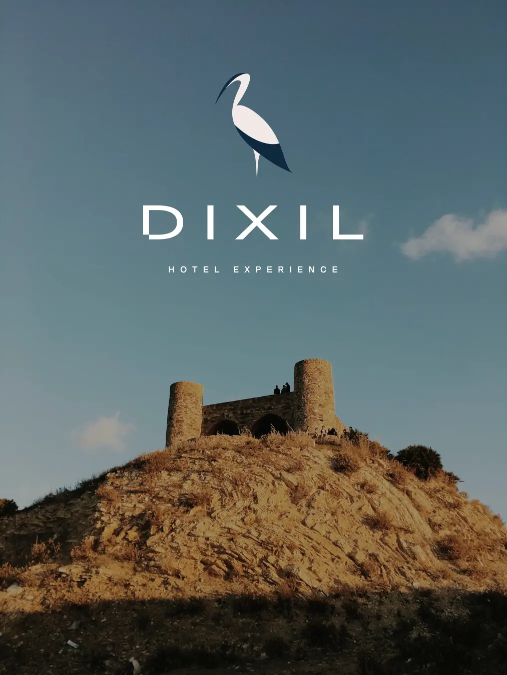 dixil_1m